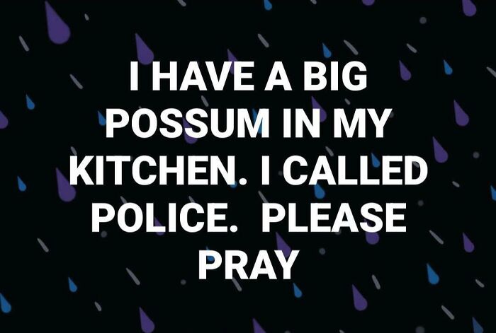 Elderly people online: A humorous post by an elderly person about a possum in their kitchen.