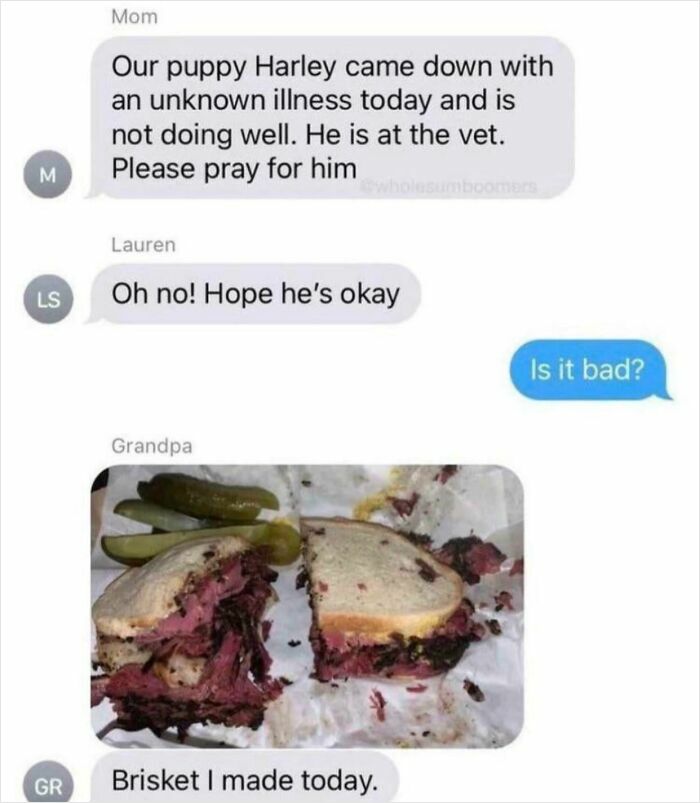 Elderly people sending a picture of brisket instead of responding to a message about a sick puppy on the internet.