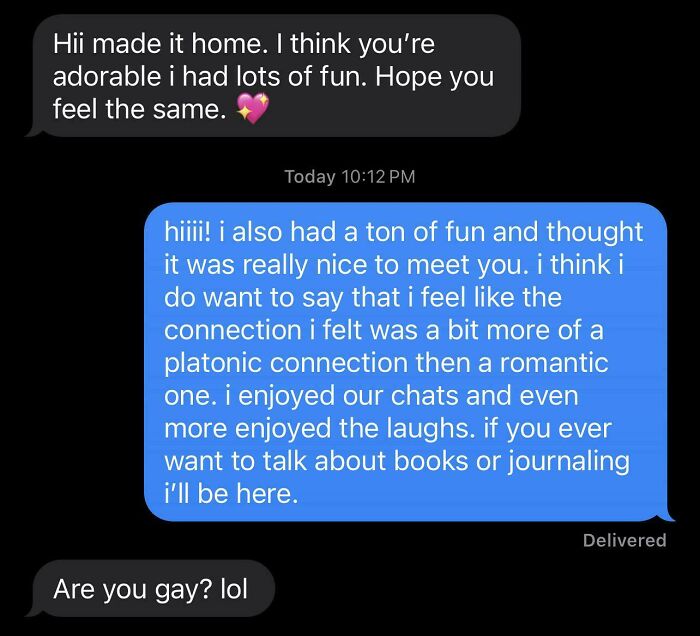 A screenshot of a dating text conversation where one person explains a platonic connection, and the other person responds, Are you gay? lol.