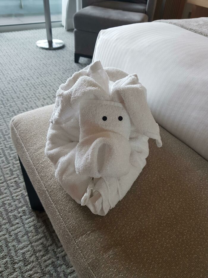A genius business idea of a towel folded into an elephant shape on a hotel room bench.