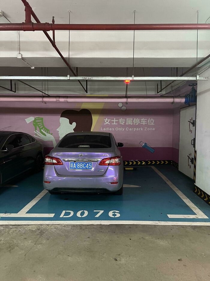 A genius business idea of a Ladies Only Carpark Zone with a purple car parked inside.