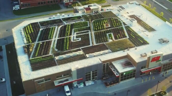 An aerial view of a rooftop garden spelling out M-E-T-R-O, a business with a simple, genius idea.