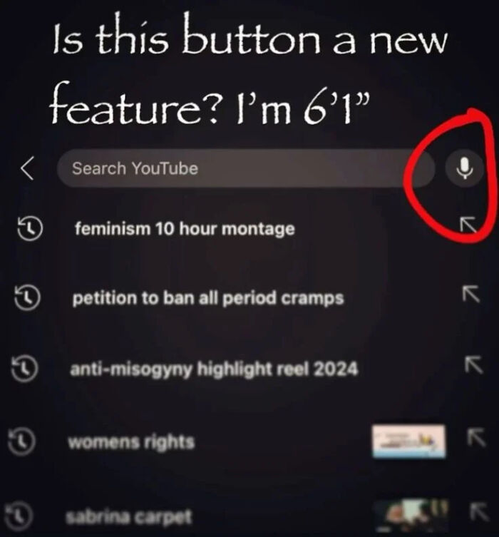 A screenshot showing unhinged things people searched on YouTube, with a red circle highlighting the voice search button.