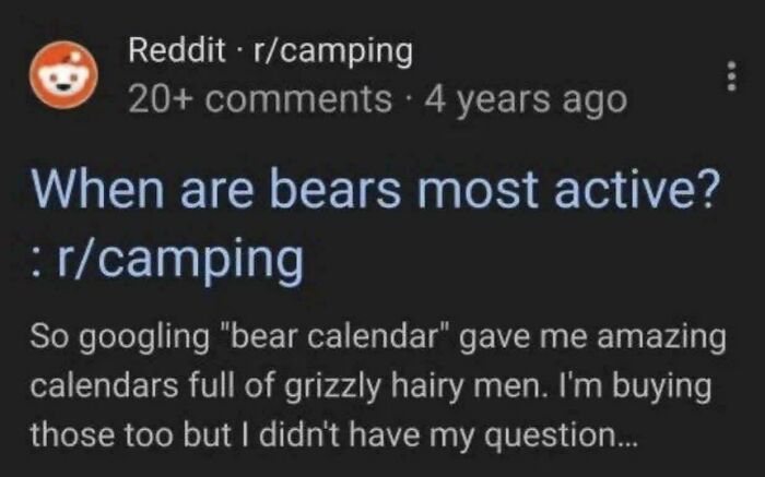 A Reddit post about searching for bear calendars and finding grizzly hairy men, one of the unhinged things people shared.