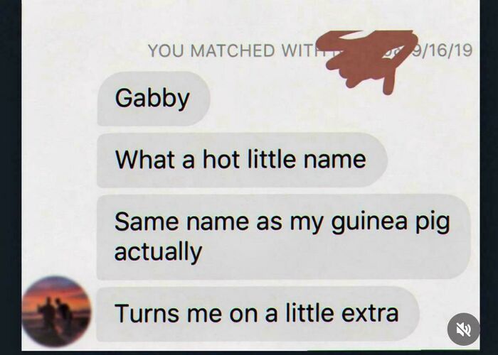 An unhinged text message conversation where someone compliments a name then states it's their guinea pig's name too.
