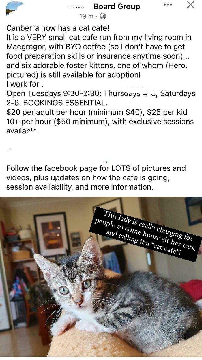 A Facebook post advertising a cat cafe run from a living room, where the owner charges for visits, showing a main character.