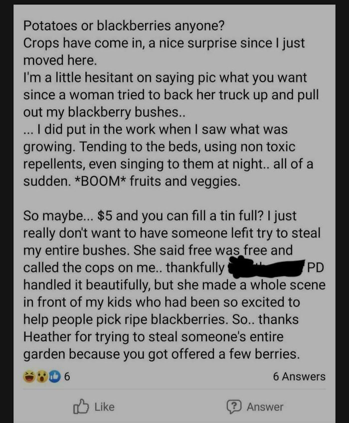 A story about a woman trying to steal blackberries from a garden, highlighting someone who thinks they are the main character.