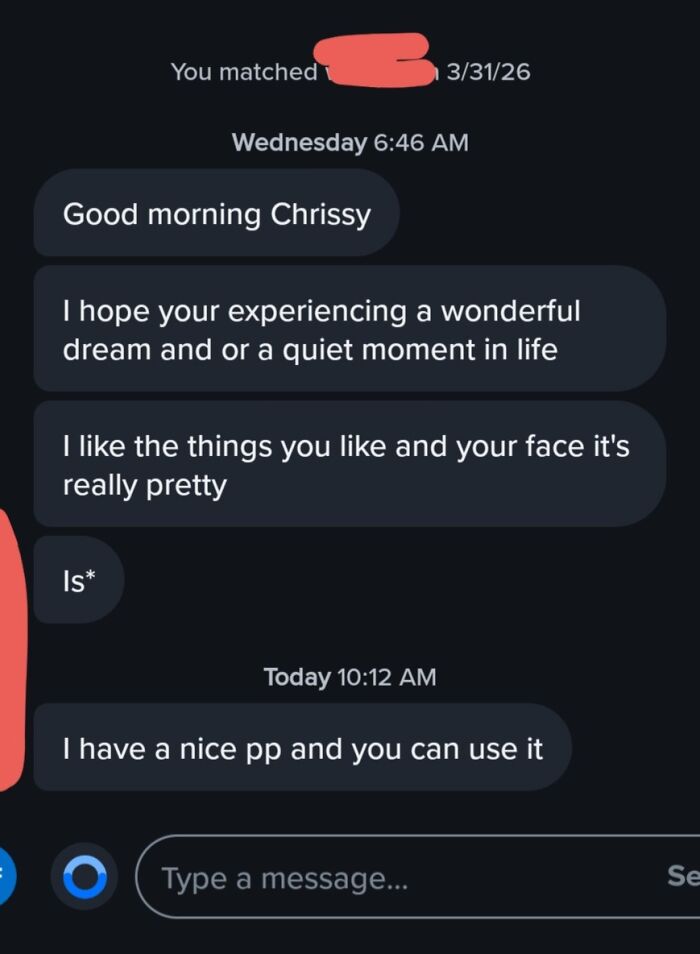 A screenshot of a dating app conversation showing an inappropriate and vulgar text message, exemplifying bad dating texts.