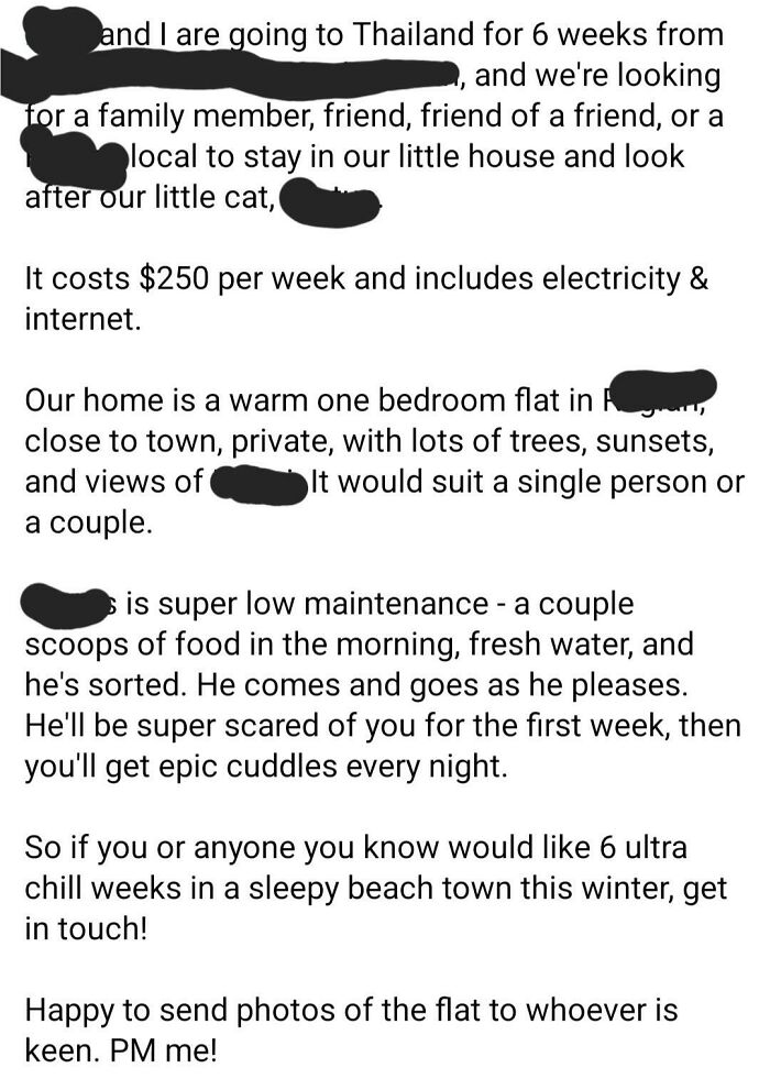 A social media post looking for a house sitter for a cat in Thailand, believing they're the main character.