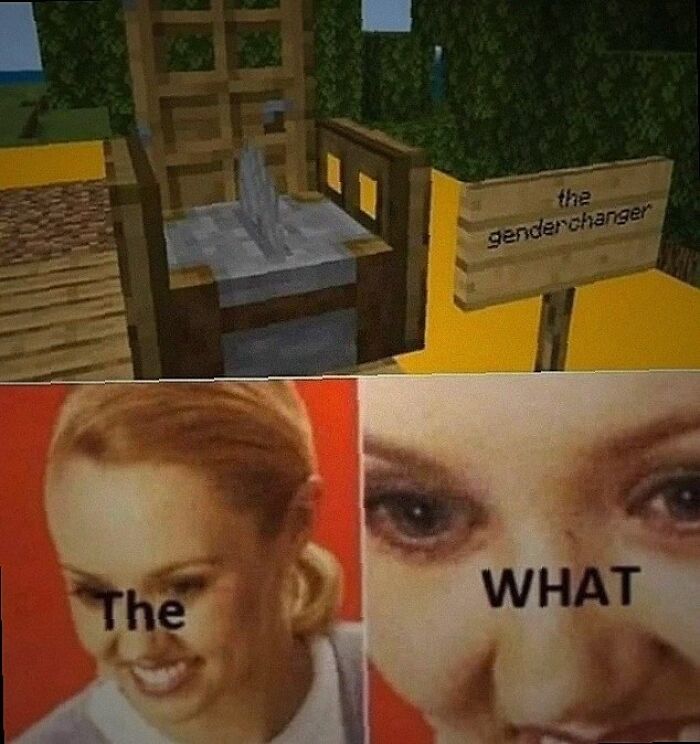 A blursed meme showing a Minecraft gender changer machine with a shocked woman exclaiming The WHAT in reaction.