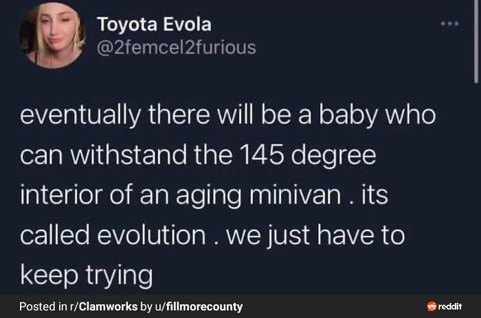 Blursed memes: A tweet about evolution allowing babies to withstand hot minivan interiors, a darkly humorous take.