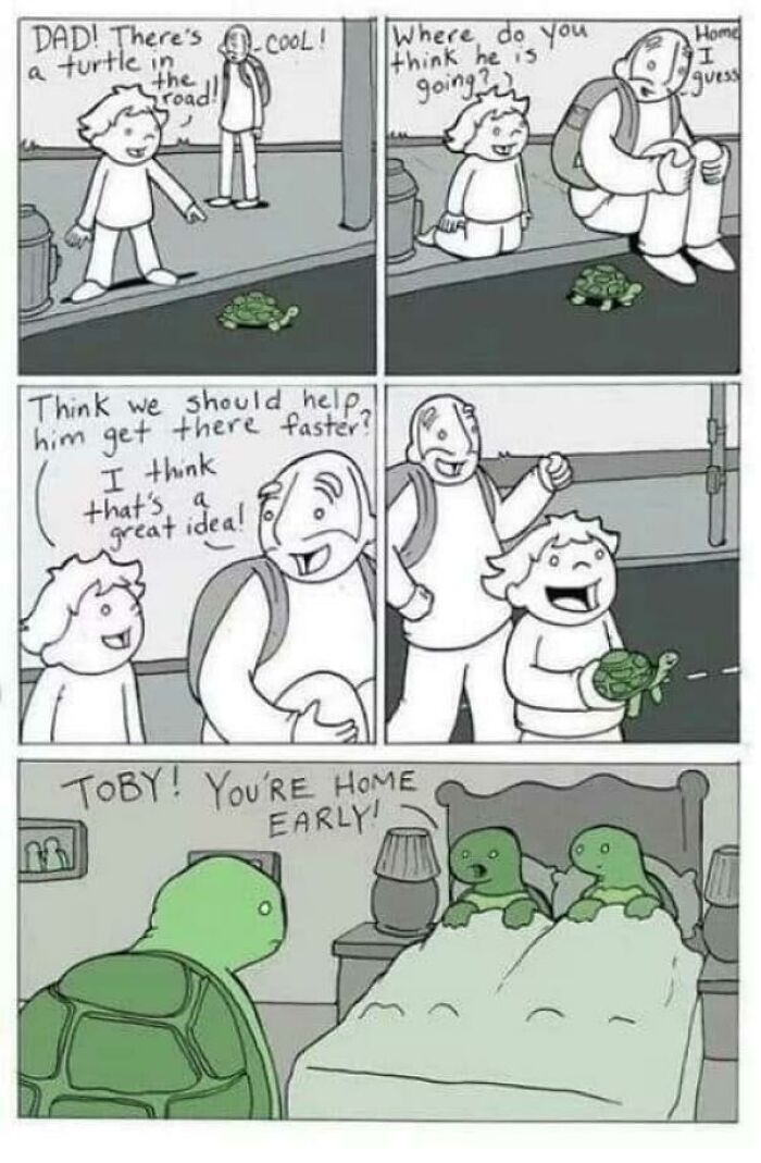 A comic strip about a father and child helping a turtle home, then discovering it's their child's pet. A blursed meme.