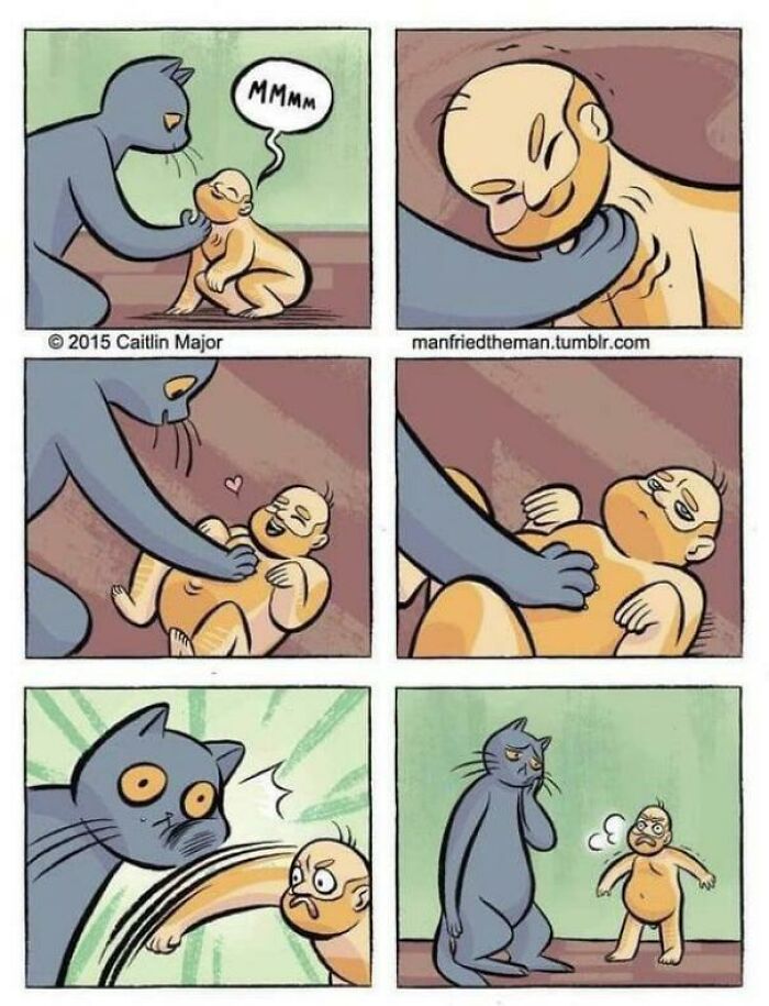 A blursed meme comic strip where a cat loves a baby, but then the baby starts acting like a cat, startling the cat.