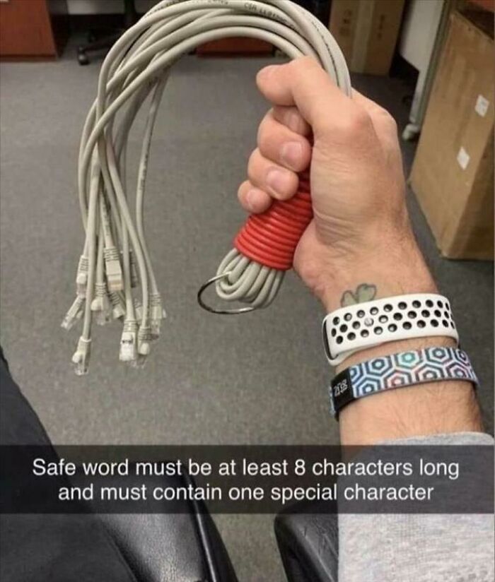 A hand holding a bundle of ethernet cables like a whip, with text about a safe word. A blursed meme.
