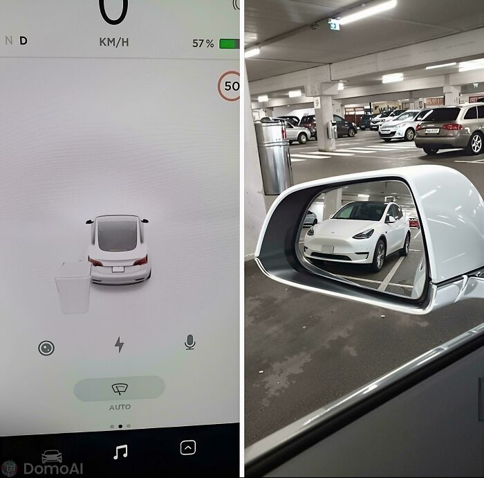 A blursed meme showing a Tesla display side-by-side with its side mirror, both showing the same car.