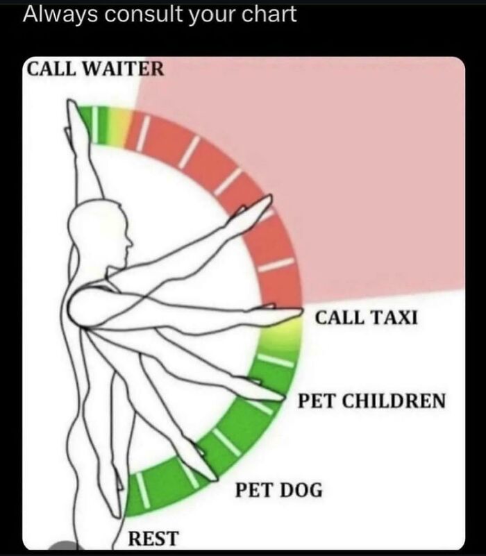 A chart showing arm positions for different actions like call waiter or pet dog, a blursed meme.