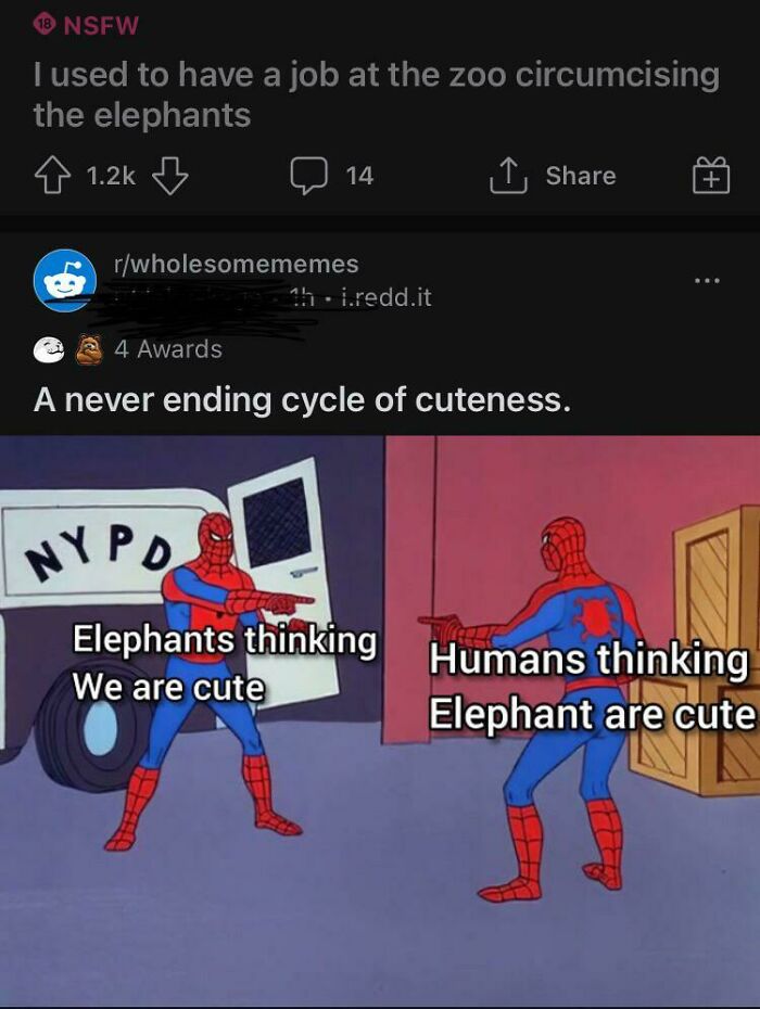 A blursed meme with a Reddit post about circumcising elephants above a Spider-Man pointing meme about elephant cuteness.