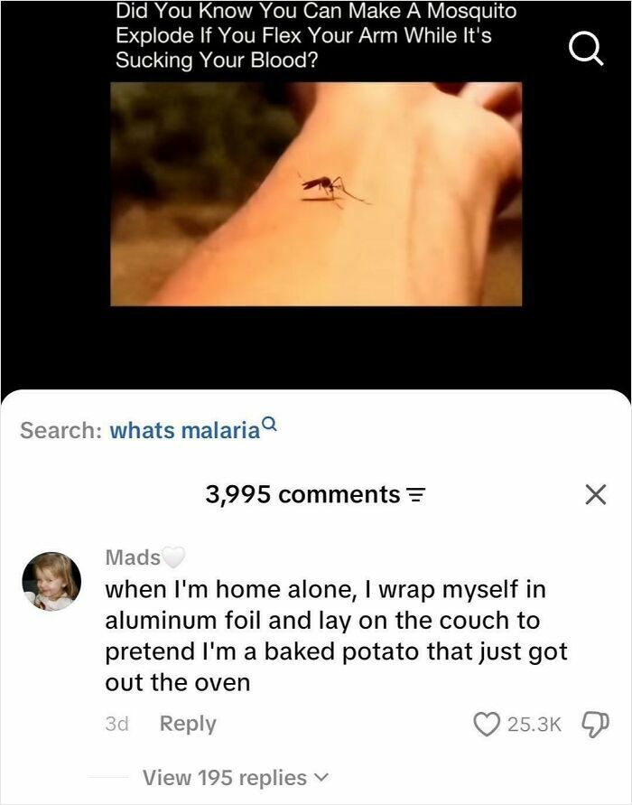 A screenshot of unhinged things people shared online, featuring a meme about mosquitoes and a strange confession.
