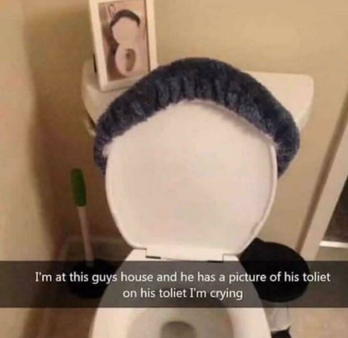 A blursed meme of a toilet with a furry seat cover and a framed picture of a toilet on the tank.