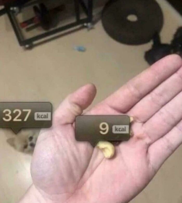 A blursed meme showing a hand holding one cashew with 9 kcal and a blurred 327 kcal in the background.