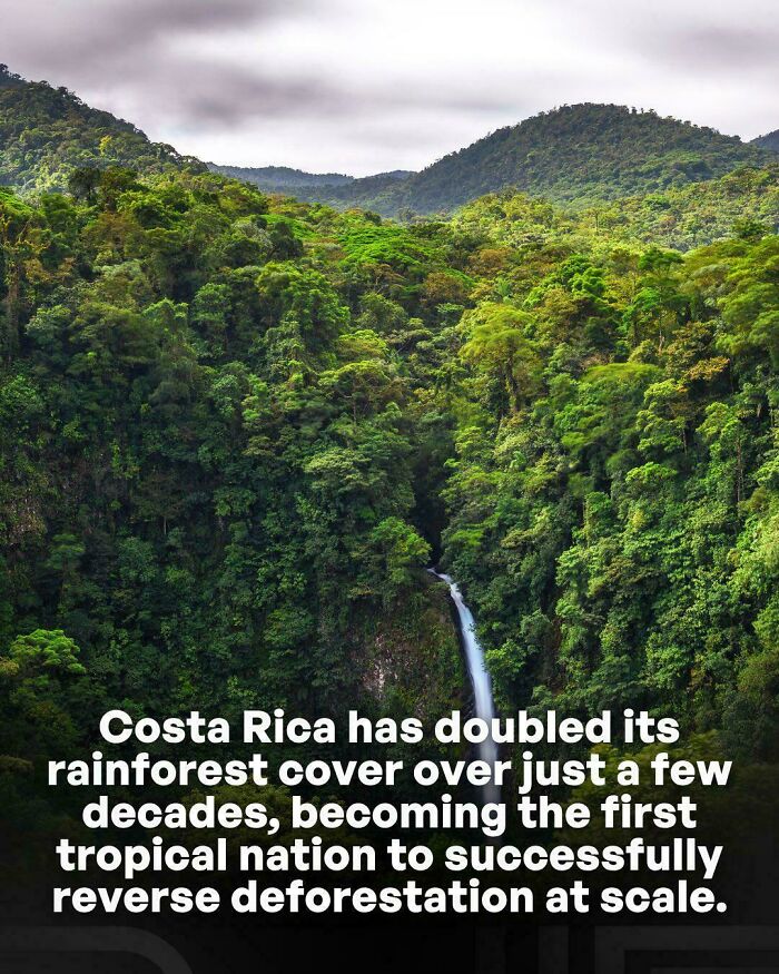 Good News: Costa Rica Brought Its Forests Back 🌱