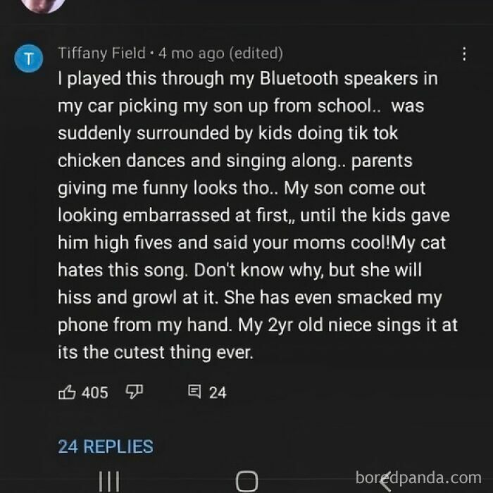 A screenshot of a YouTube comment by Tiffany Field about her cat's funny reaction to a song, an embarrassing moment.