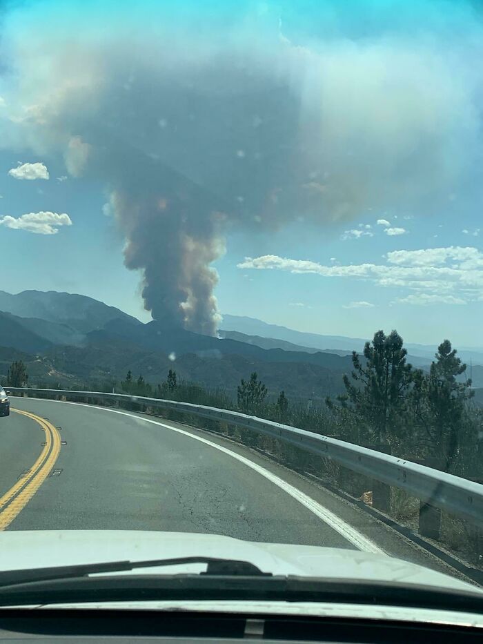 A large plume of smoke rising from a mountain, likely from a wildfire caused by a gender reveal.