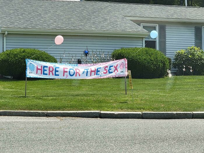 A sign on a lawn reads HERE FOR THE S*X with pink and blue balloons for a gender reveal moment.