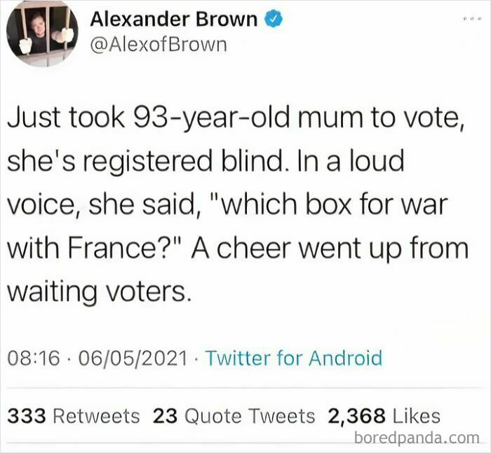 Hilariously embarrassing screenshot of Alexander Brown's tweet about his 93-year-old blind mum lying about voting.