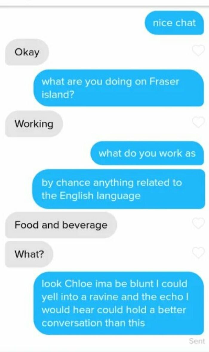 A text message conversation where one person delivers a clever clapback, stating an echo in a ravine would be a better conversation.