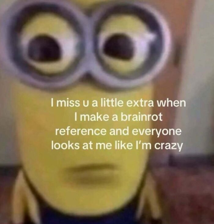 A blurry Minion meme expressing sadness about brainrot references and being seen as crazy, showcasing cringe memes.