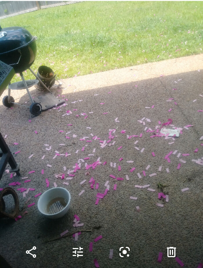 Outdoor patio covered in pink confetti near a grill, showing gender reveal moments.
