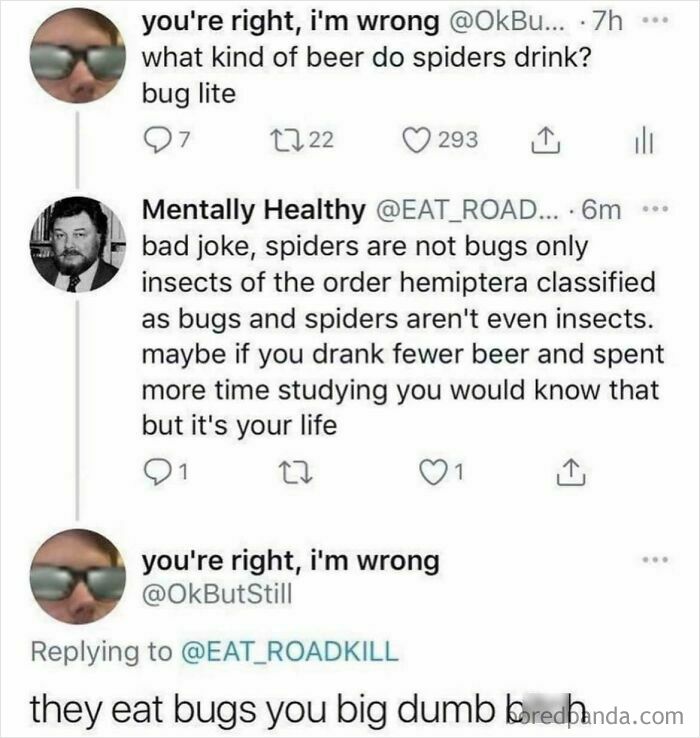 A social media thread where a user corrects another online about spiders not being bugs, demonstrating a satisfying correction.