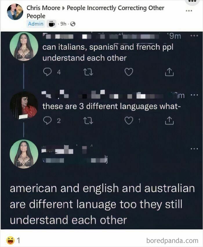 Satisfying correction online: a user asks if different language speakers can understand each other, corrected by another user differentiating dialects.