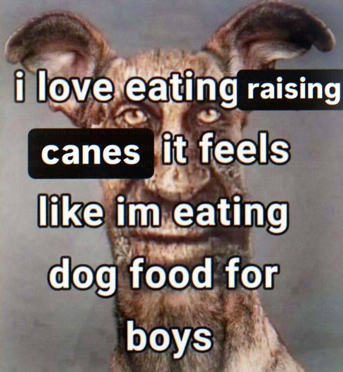 A cringe meme with a distorted dog face and the text: i love eating raising canes it feels like im eating dog food for boys.