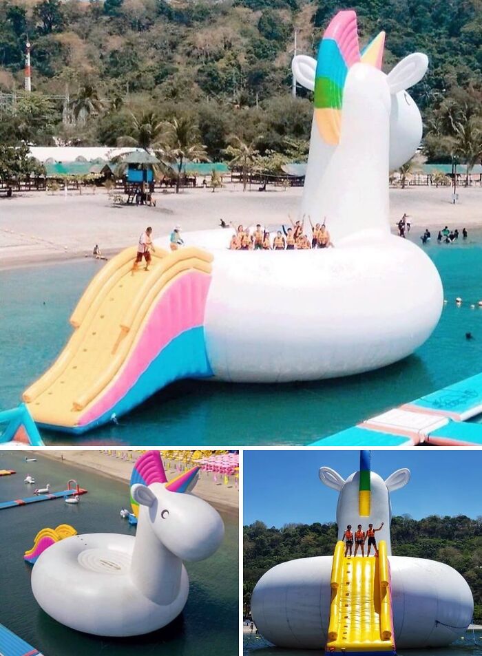 An incredible size comparison of the world's largest inflatable unicorn float with many people on it, highlighting its true scale.