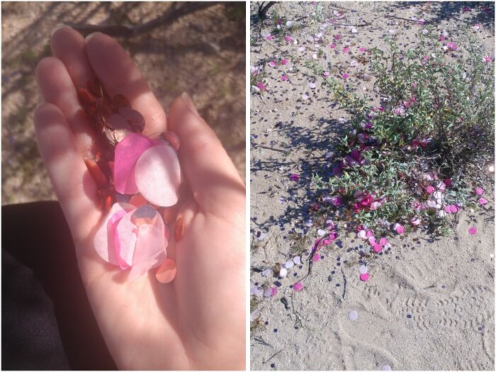 A hand holding pink and white confetti, with more confetti scattered on the ground. A gender reveal moment.