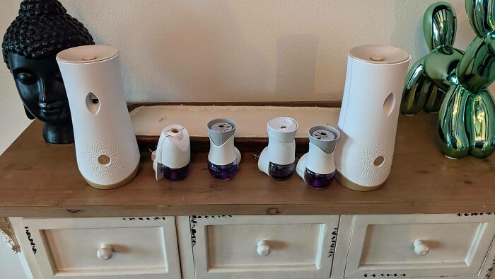 Various air fresheners on a wooden dresser next to a Buddha head, depicting men freaked out by a woman's home.