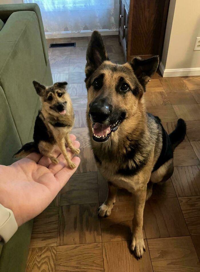 Just Completed This Needle Felted Dog Miniature. I Think I Got It Pretty Close. How About You?
