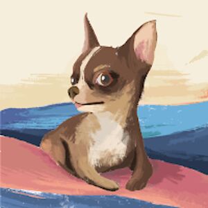 shaylenchambers avatar