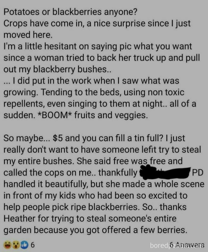 A story about a woman trying to steal blackberries from a garden, highlighting someone who thinks they are the main character.