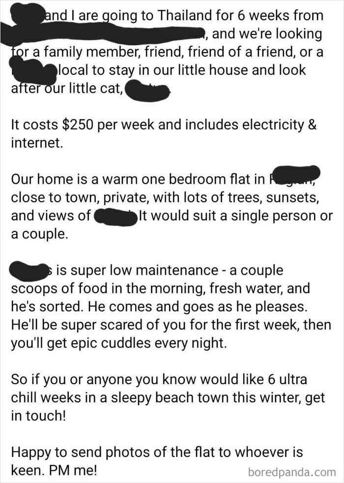 A social media post looking for a house sitter for a cat in Thailand, believing they're the main character.