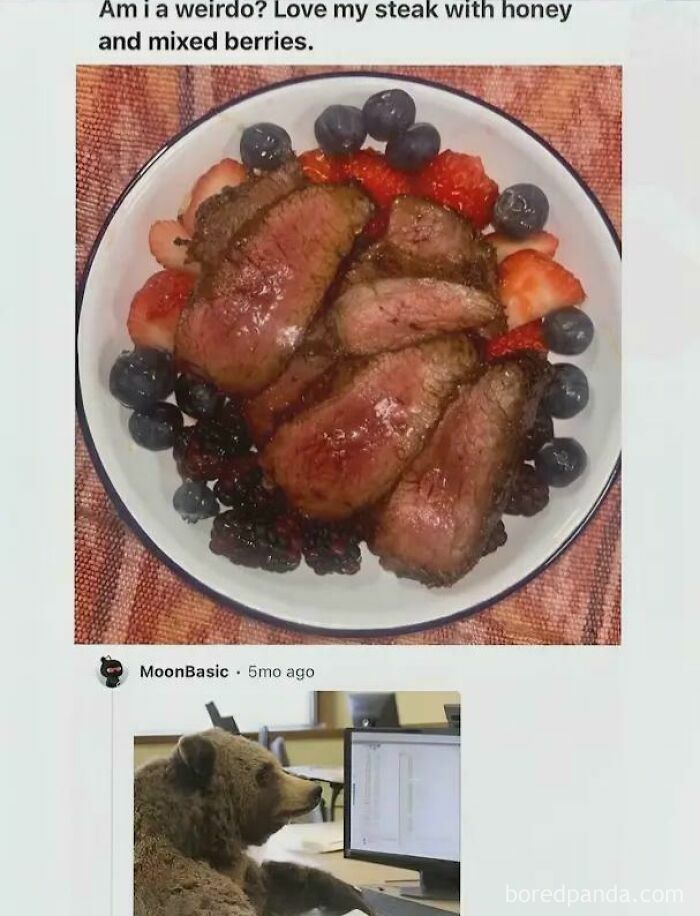 A dish of steak with honey and mixed berries, a weird roast that prompts a clapback from a bear typing on a computer.