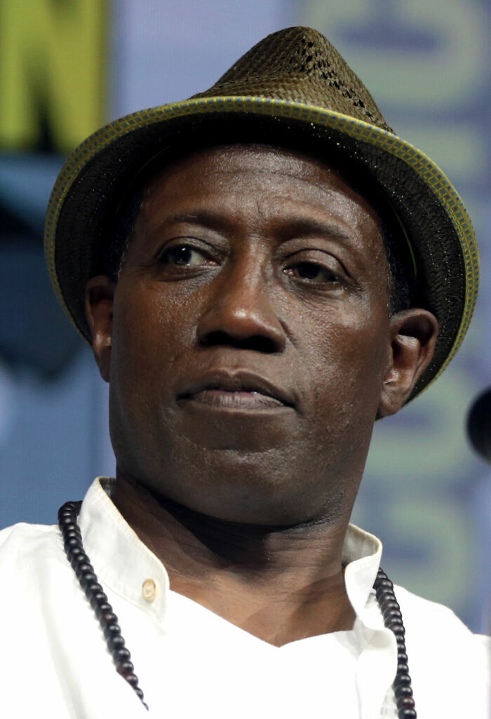 Wesley Snipes close-up, wearing a woven fedora hat and a white shirt with a dark beaded necklace. Focus on his face showcasing his career.