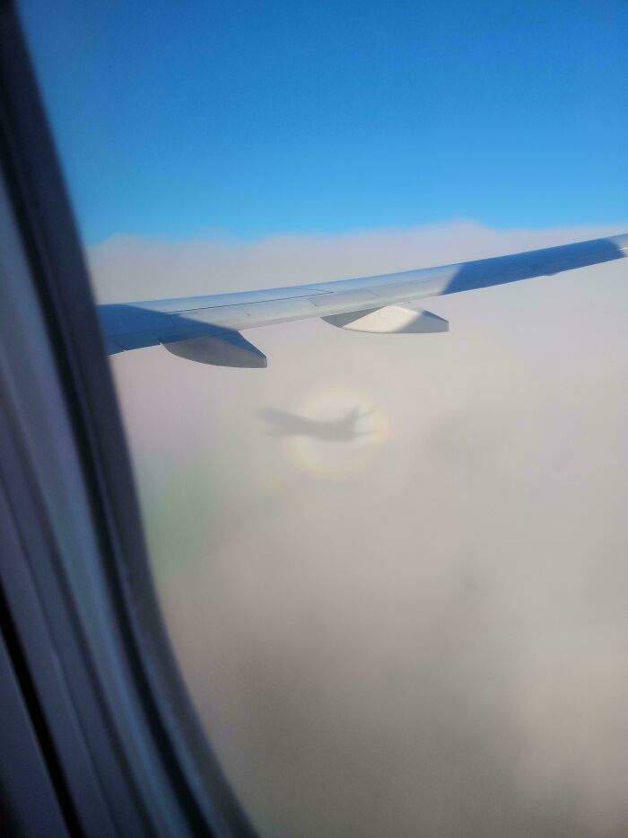 A unique aerial view from an airplane window, capturing a circular rainbow around the aircraft's shadow, an interesting post for Aussies.