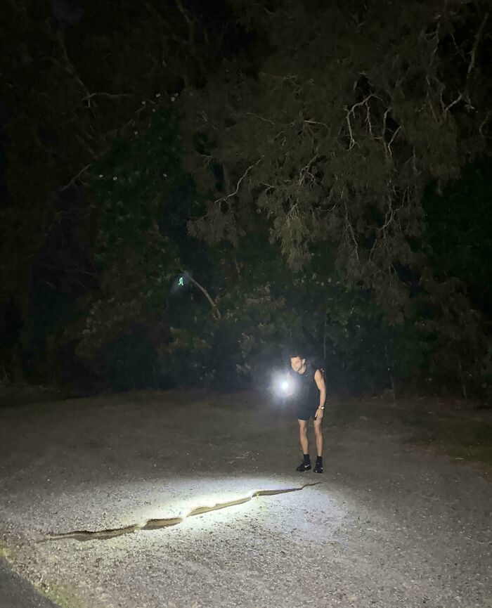 A person with a flashlight illuminating a large snake on a dirt path at night, in an Aussie forest. Interesting posts for an Aussie.
