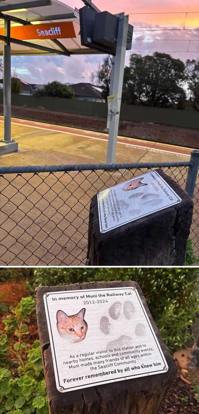 A memorial plaque for Muni the Railway Cat at Seacliff station, one of many interesting posts for an Aussie.
