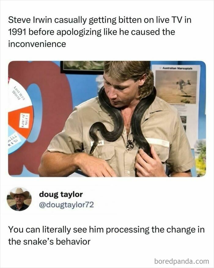 Steve Irwin with a snake around his neck, illustrating an interesting post about TV and media.