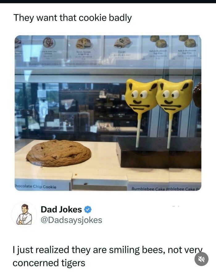 A social media post with real photos of bee-shaped cake pops eyeing a chocolate chip cookie, making you question if edited.