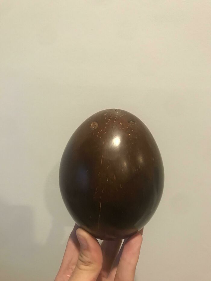Real photos of a hand holding a smooth, dark brown, egg-shaped object, making you question if it was edited.